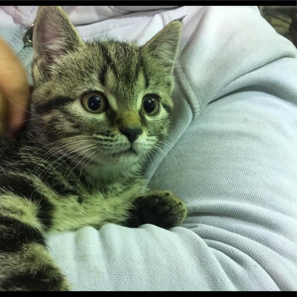 Meet your Posher, Lindsey